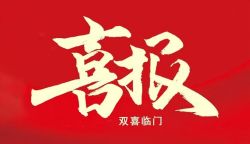双喜耀征程！博锐德生物凭创新实力斩获两项重磅资质！